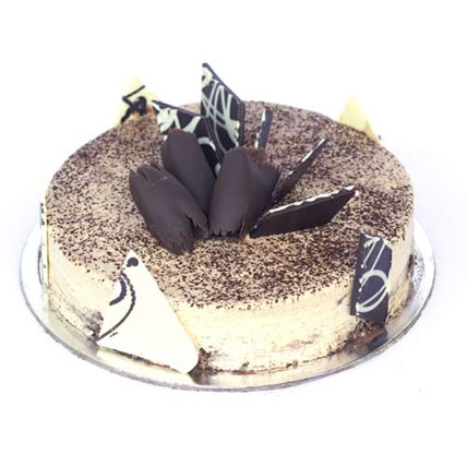 Tiramisu Cake-0