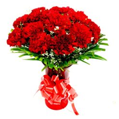 Charming Red Carnations-0