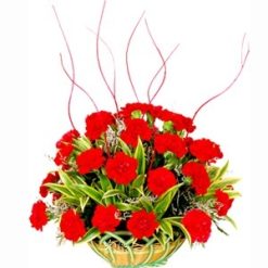 Loving Carnation Basket-0