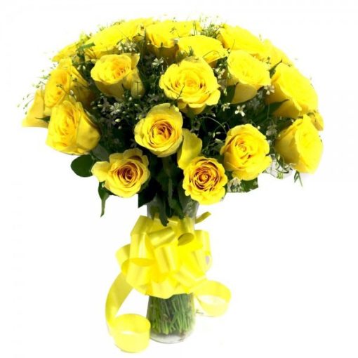 Yellow Roses-0