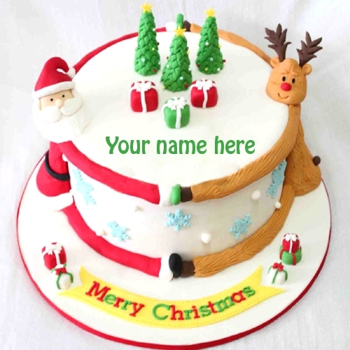 Santa Claus & reindeer Cake-0