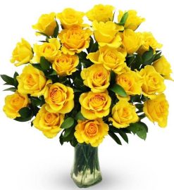 Yellow Sunny Roses-0