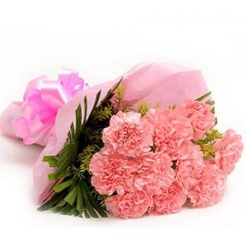 Pink Carnations Bouquet-0
