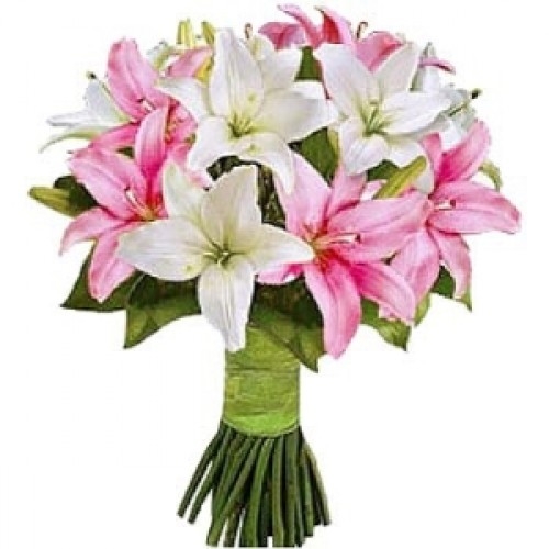 White and Pink Lillies-0