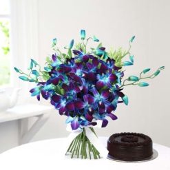 Chocolaty Blue Orchids-0