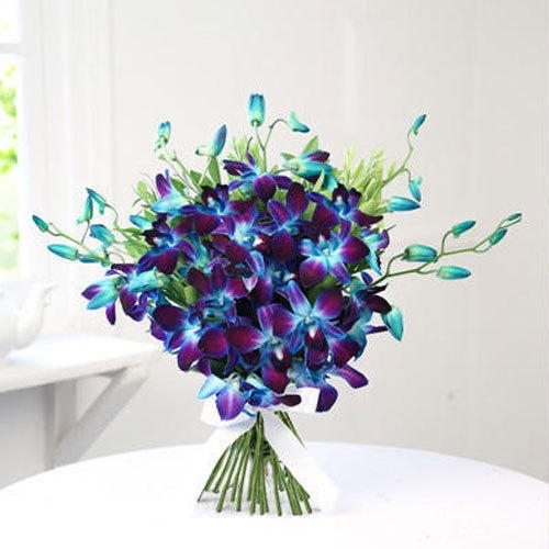 Glorious Blue Orchids -0