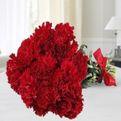Red Beauty Carnations-0