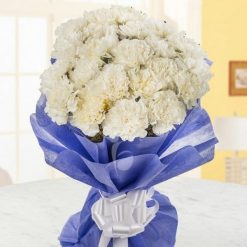 White in Blue Carnations-0