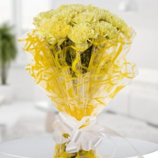 Beauty of Yellow Carnations-0