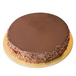 Plain Chocolate Cake-0