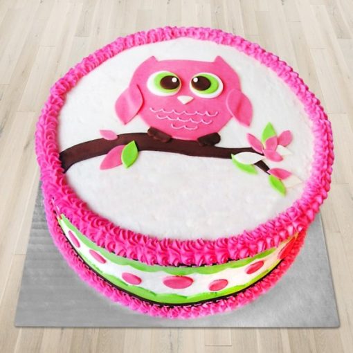 Designer Cute Pink Owl Cake -0