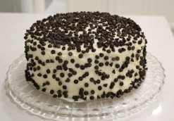Vanilla Chocochips Cake-0