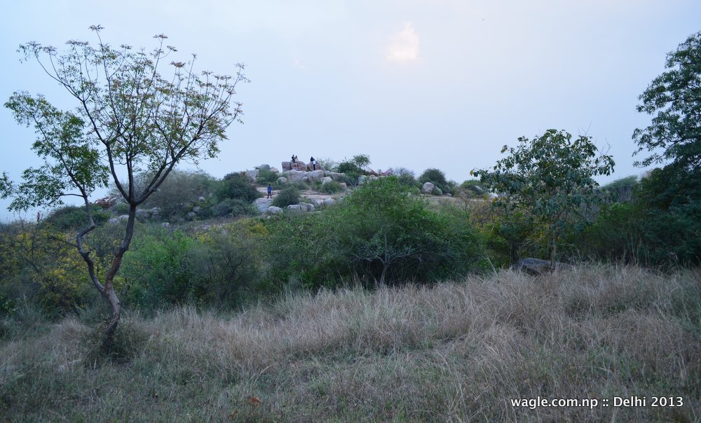 Parthasarathy Rocks, JNU