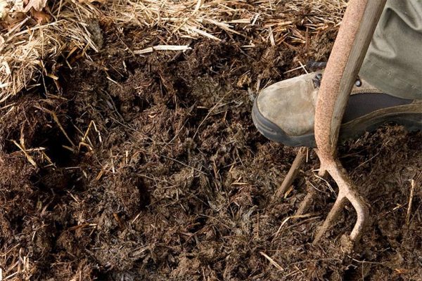 Compost improves soil texture